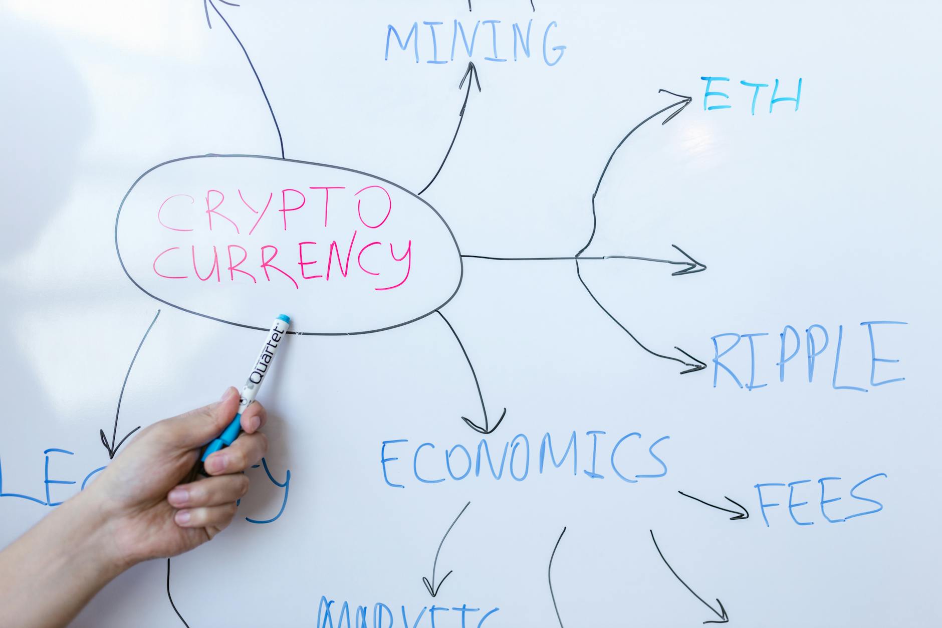NFT Fraud Forensics: Investigating Non-Fungible Token Scams and Theft